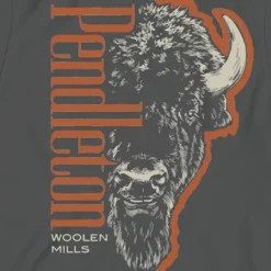 Bison Head Graphic Tee Asphalt/Rust