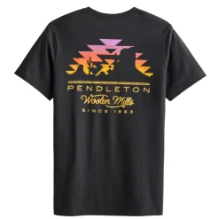 Desert Sunset Graphic Tee Vintage Black