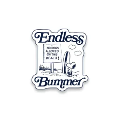 Endless Bummer Pin