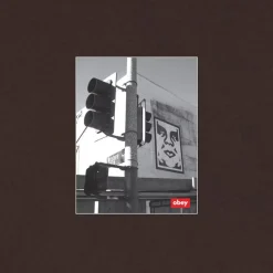 Los Angeles Photo Tee Java Brown